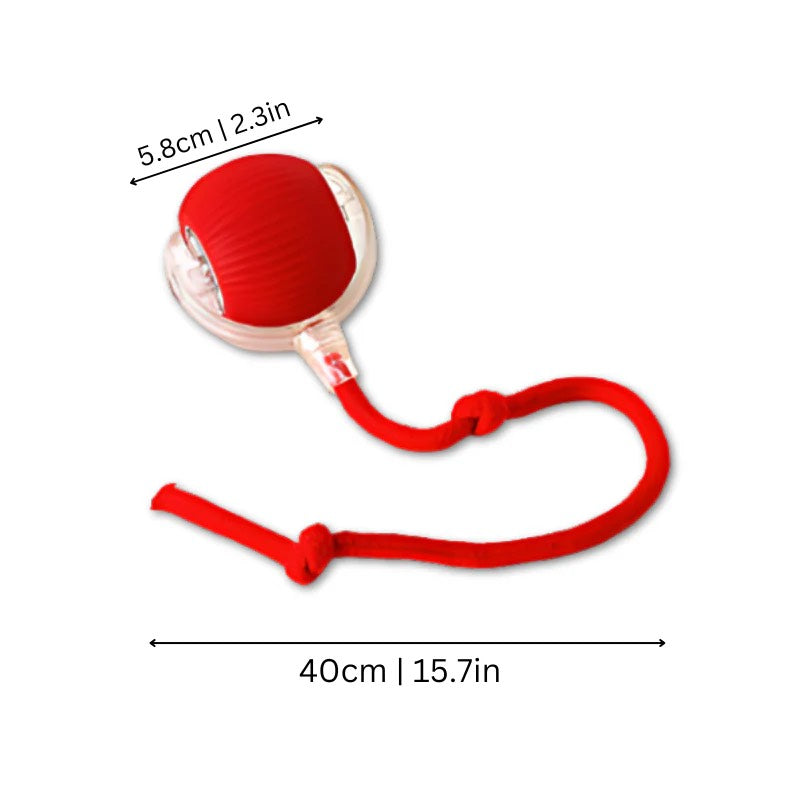 Pupnix™ SmartBounce Ball